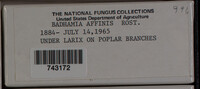 Image Associated With the Occurence